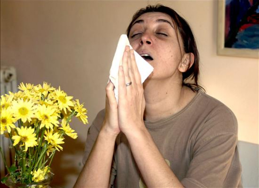 Cuidado con confundir un resfriado con una rinitis alérgica
