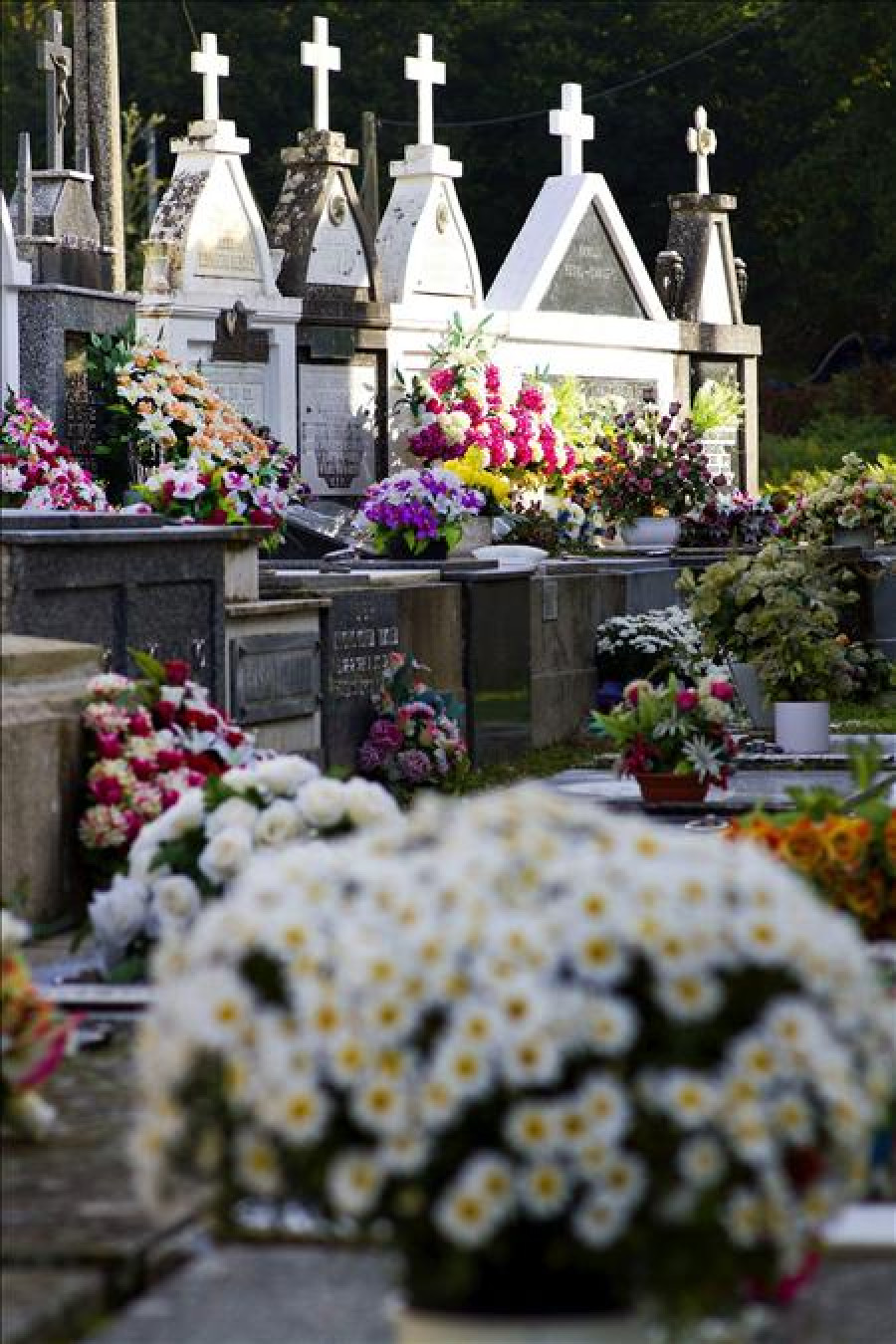 Monterroso celebra feria Santos más antigua de Galicia, con 500 años de vida