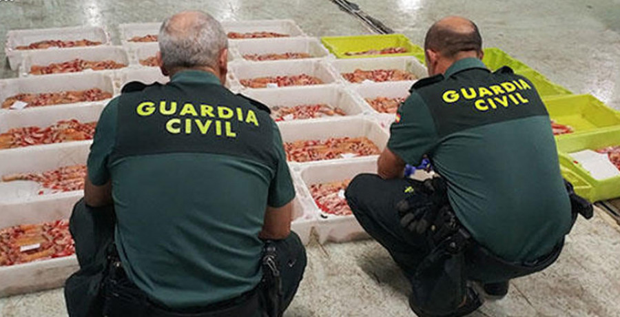 La Lonja exige a la Guardia Civil que no involucre a sus empleados con el decomiso de jureles