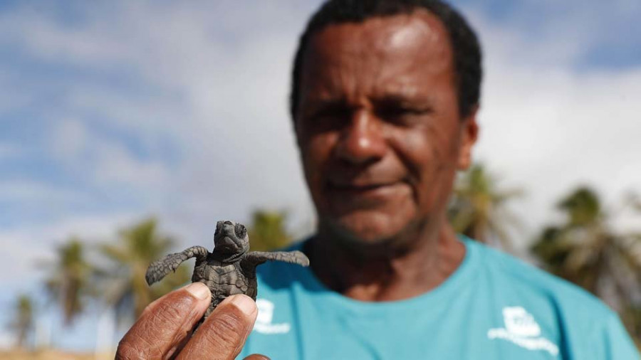Seu Antonio, el salvador de tortugas más antiguo de Brasil
