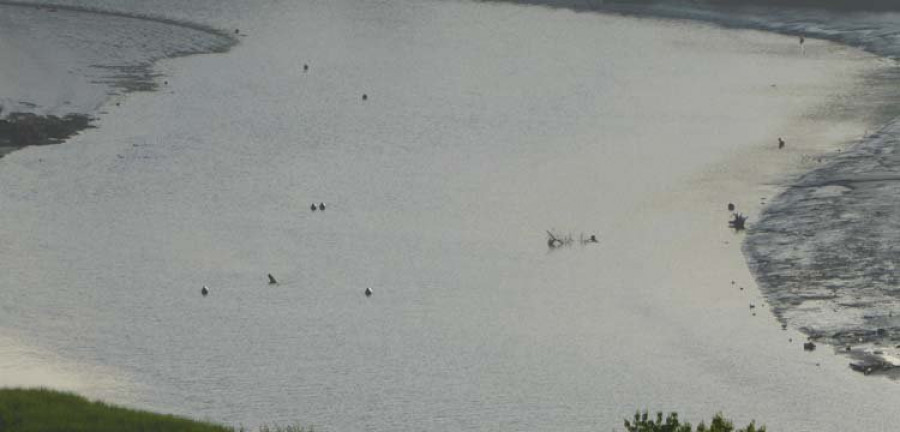 Usuarios de la ría de Betanzos alertan del riesgo de árboles ocultos en el canal