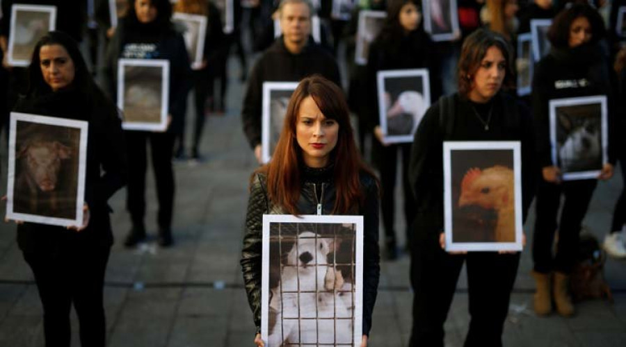 los Animalistas denuncian los malos tratos en las granjas y los mataderos