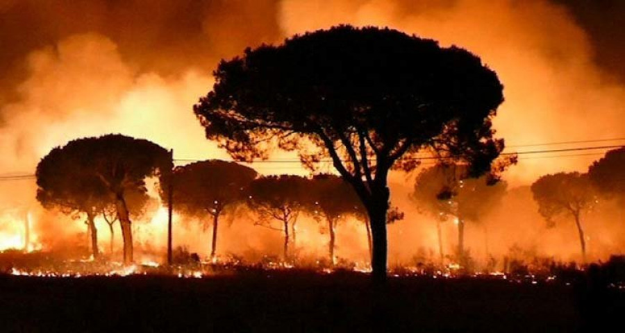 El incendio de Moguer acecha el parque de Doñana y obliga 
a desalojar a más 
de 2.000 personas