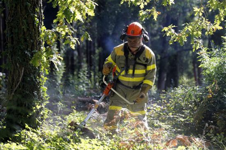 Galicia primera en el número de incendios y segunda en el de hectáreas quemadas