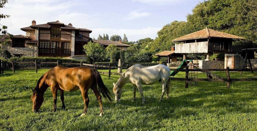 Los turistas extranjeros que visitan Galicia aumentan un 5% en enero