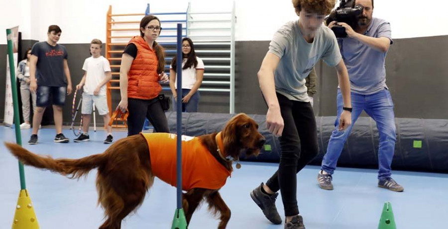 Impulsan la terapia con perros para prevenir el acoso escolar