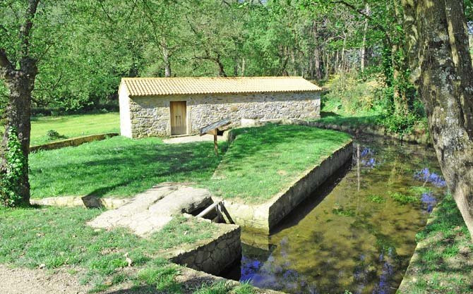 Arteixo protegerá la fraga de Sisalde con talas selectivas de eucalipto y pino