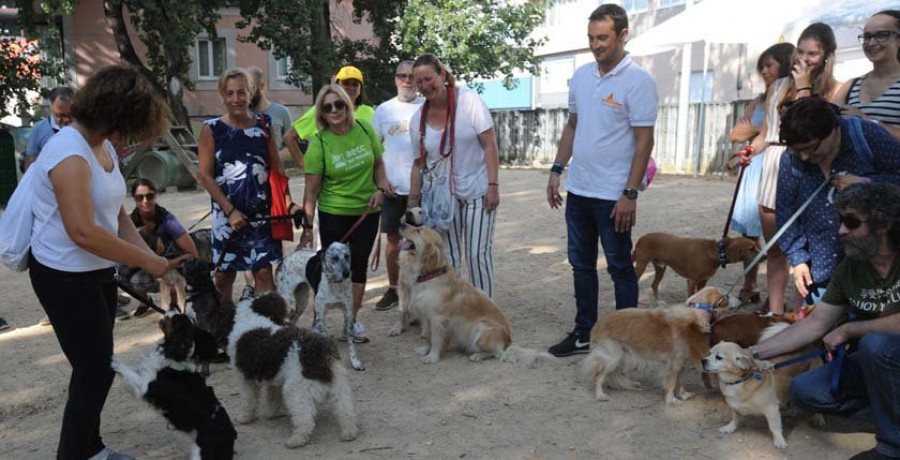 El parque de Santa Margarita acogió un  concurso para perros