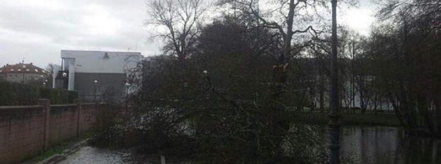 El fuerte viento y la persistente lluvia provocan numerosas incidencias en la comarca