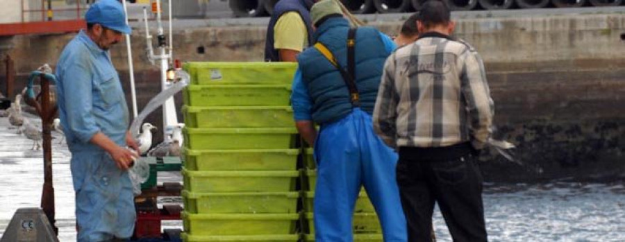 La lonja encadena ya cinco meses de subidas en la descarga de pesca fresca