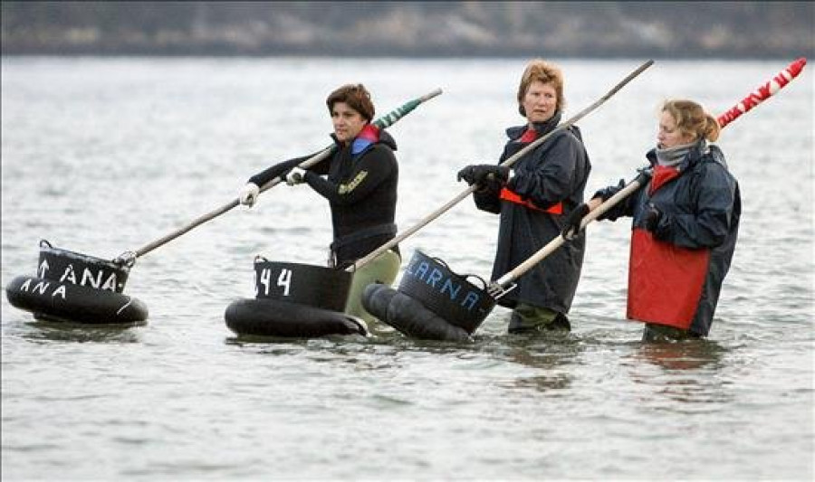 Los resultados del marisqueo han mejorado en Galicia un 15 por ciento