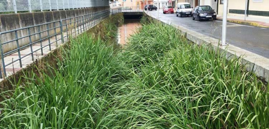 El PP de Sada critica que el Gobierno local no limpie el río Maior a pesar del riesgo de inundaciones