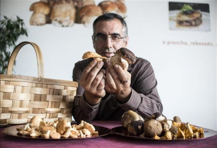 Micólogos gallegos reinventan la cocina de setas en pleno cambio de normativa
