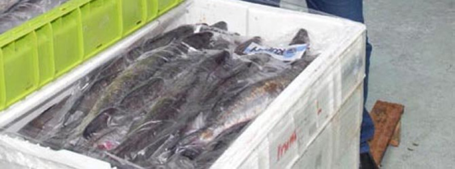 La Fremss presenta un plan para salvar 37.000 empleos pesqueros