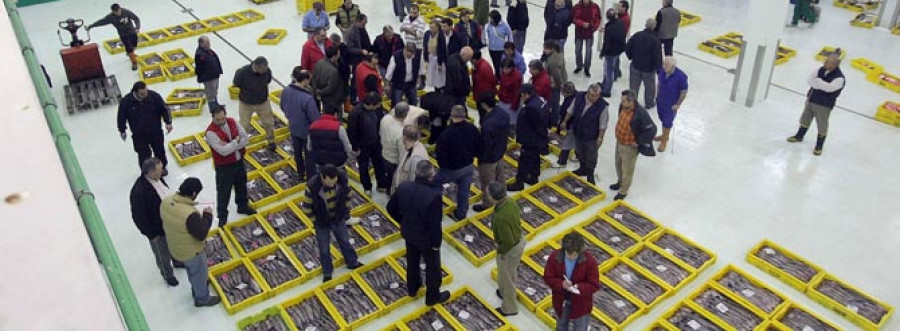 La lonja se sitúa como la primera  de España en venta de pescado fresco