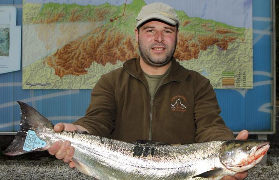 El primer salmón de la temporada, el campanu,  pesó casi 6 kilos y fue adquirido por 5.500 euros