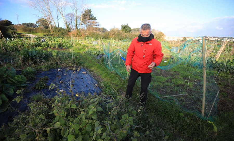 La huerta del Ágora desaparecerá debido a la presión urbanística