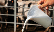 La leche alcanza los precios más altos desde 2013