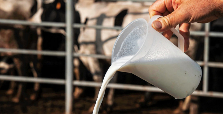 La leche alcanza los precios más altos desde 2013