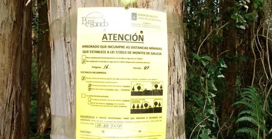 Bergondo advierte a 250 dueños de plantaciones forestales de que incumplen la ley de montes