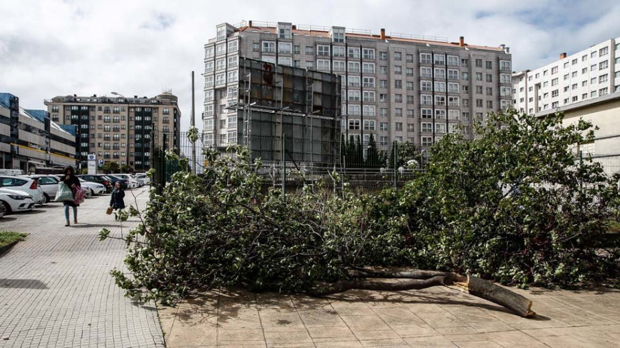 La alerta naranja alteró el tráfico marítimo y causó  la caída de cascotes  y de un árbol