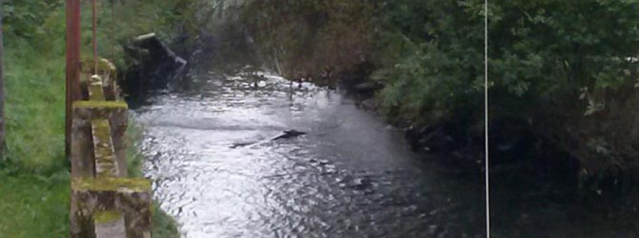 BETANZOS-El BNG denuncia un vertido al río Mendo en As Cascas desde “hai semanas”