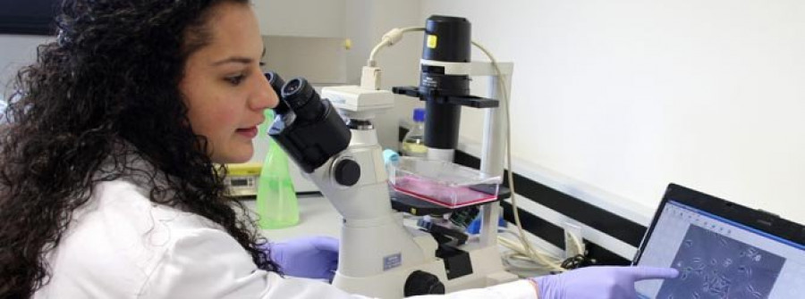 Varios investigadores gallegos comprueban la eficacia de las células madre en oftalmología