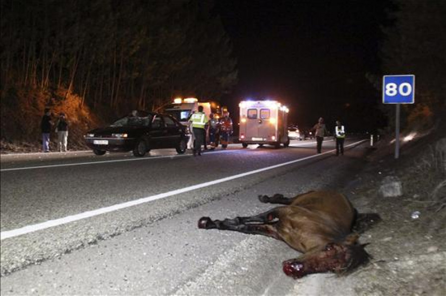 Fallece una mujer de 85 años tras chocar su vehículo contra un caballo