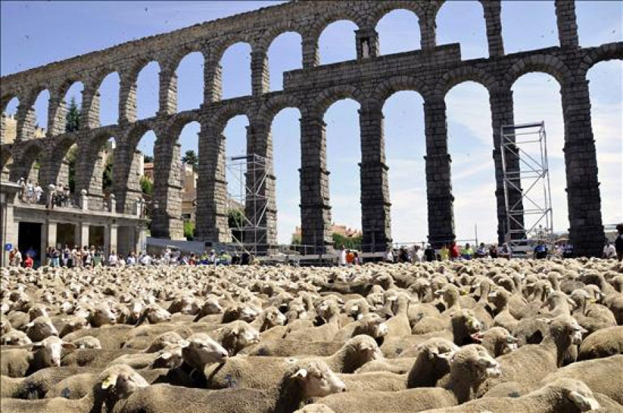 El Tribunal de la UE constata irregularidades en las ayudas al ganado en España