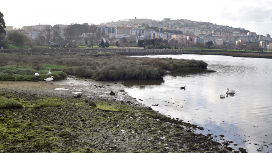 La Comisión Europea ya dispone del 80% de los fondos para la regeneración de la ría de O Burgo