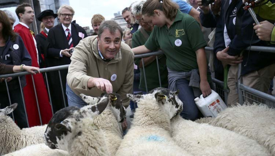 NIgel Mansell le echa una mano a los pastores en el puente de londres