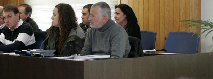 El gobierno local ordena la tala de los árboles que dañan la red de saneamiento