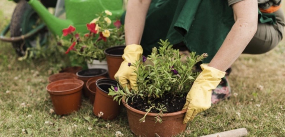 Se lanza la nueva web JardinTotal para ayudar a todos los jardineros