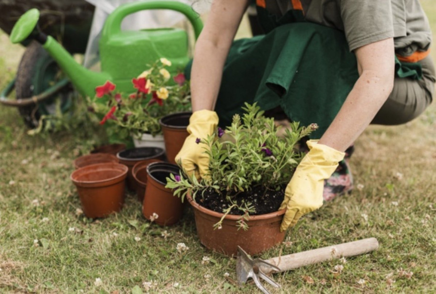Se lanza la nueva web JardinTotal para ayudar a todos los jardineros