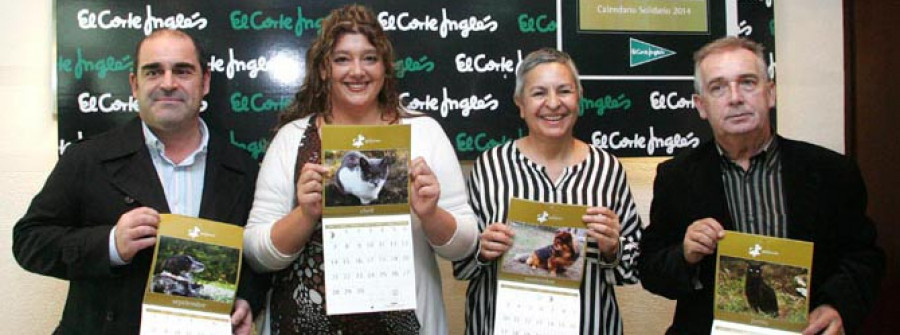 La pasión adolescente que marcó un antes y  un después en la historia de la protectora Gatocán