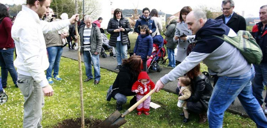 El Concello anima a los niños y niñas a hacer una plantación virtual de árboles