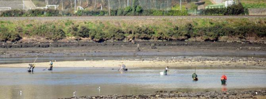 Los mariscadores apenas encuentran bivalvo después de dos semanas alejados de la ría