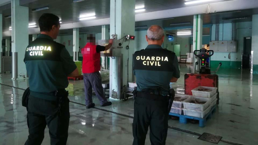 Una de cada tres intervenciones pesqueras de la Guardia Civil acaba en incautación