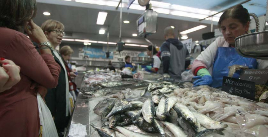 Las sardinas se venden en los mercados a cinco euros el kilo a solo dos semanas de San Juan