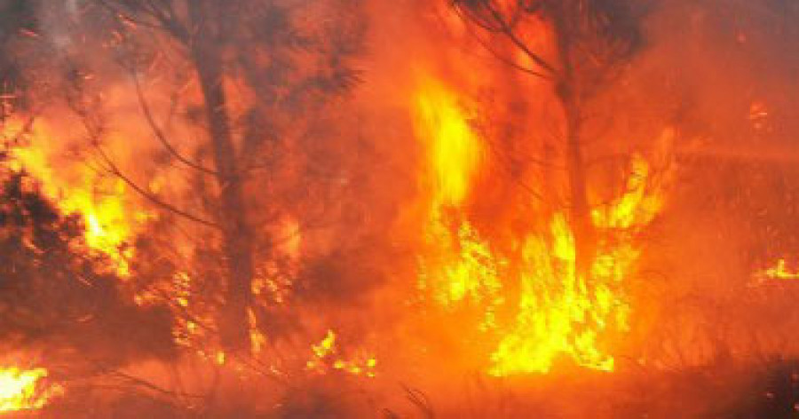 El incendio que se ha declarado en Guadalajara, supera ya las mil hectáreas