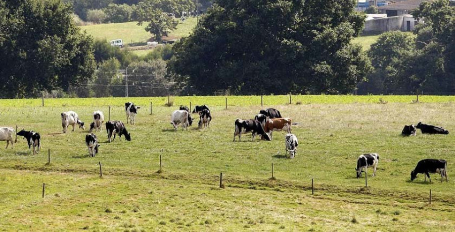 Medio Rural inspeccionou máis de 36.000 granxas durante o ano 2017