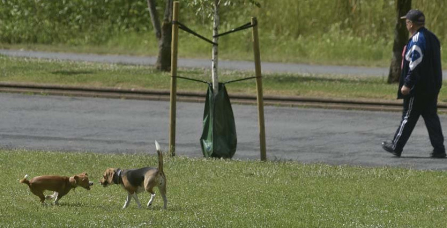 La Policía Local peinará el parque de San Diego en busca de perros peligrosos sin bozal