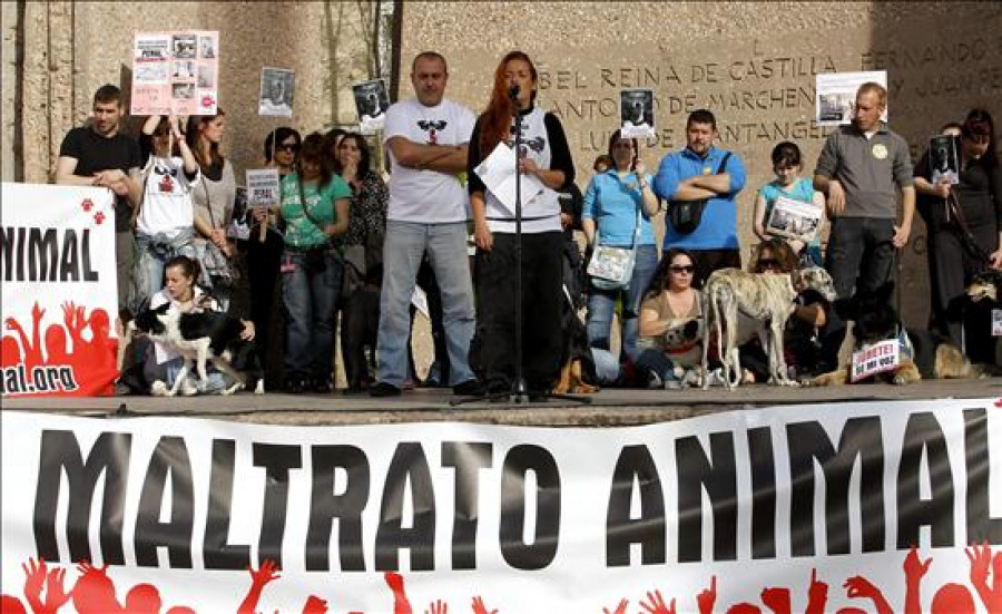 Ciudadanos de 31 ciudades salen a las calles a decir "No al maltrato animal"