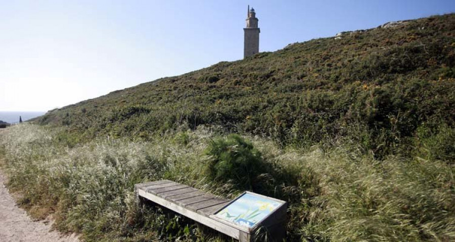 Los bancos rotos y la vegetación descontrolada afean el entorno de la 
Torre de Hércules