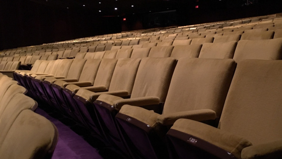 A Coruña acoge el primer festival de cine por la no violencia