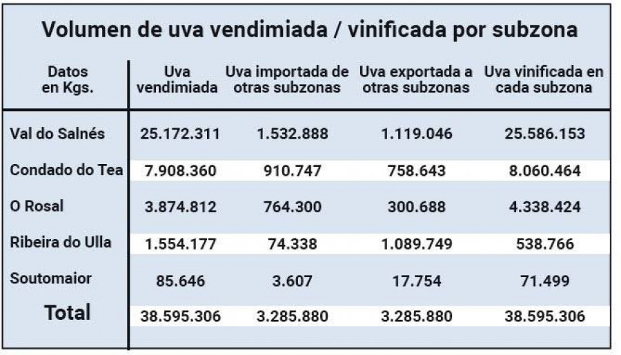 Rías Baixas cierra la vendimia con 38,5 millones de kilos de uva con un “magnífico” estado sanitario
