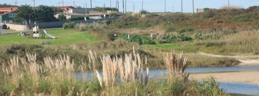 OLEIROS-Una norma municipal permitirá al Ayuntamiento entrar en las fincas privadas para limpiarlas