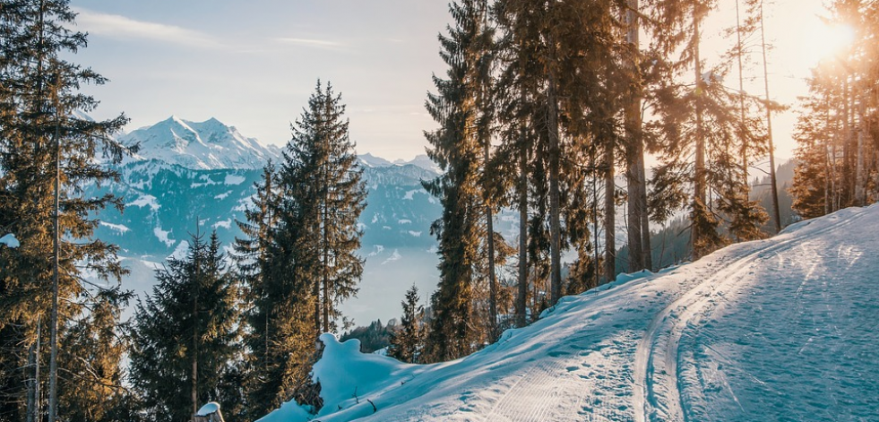 Dos alternativas diferentes para este invierno