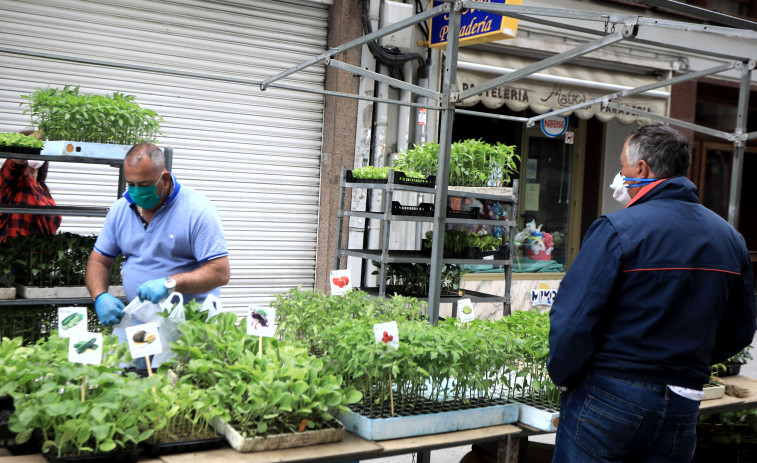 Vuelven los mercados al aire libre ante la evolución epidemiológica