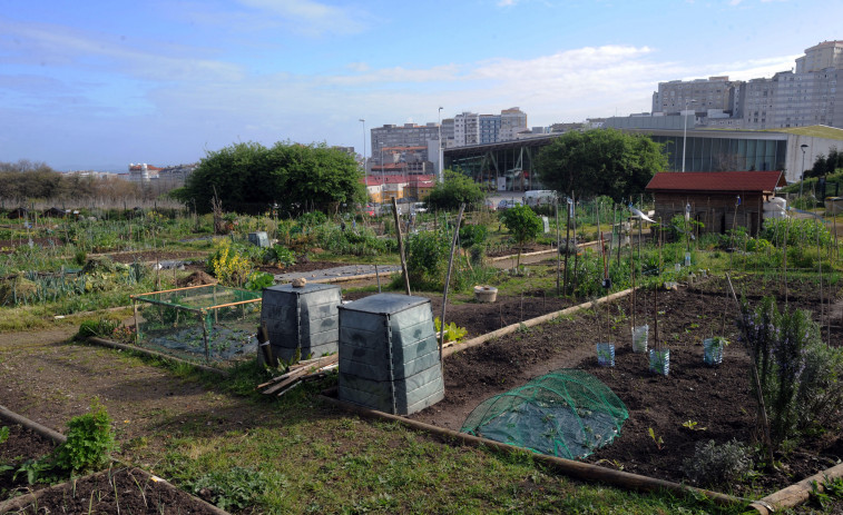 La Marea reclama al Gobierno local mayor compromiso con las huertas urbanas de A Coruña